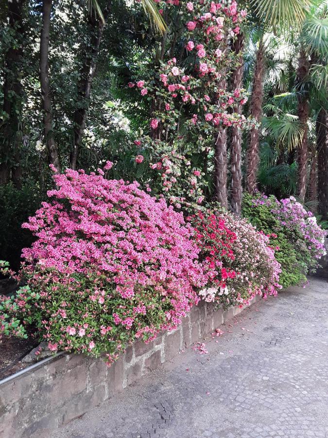 Villa Coris Ferienwohnung Magnolia Merano Exterior photo